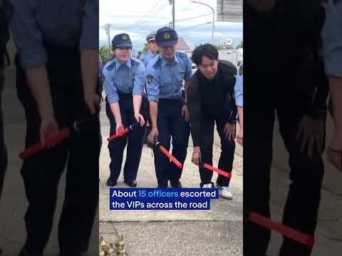 Police officers in Japan escort duck family to safety | DW News