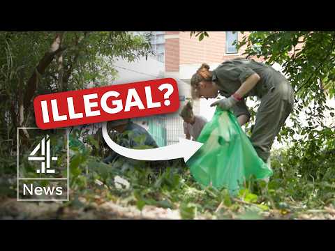 Why these litter pickers are breaking the law to clean up a London river