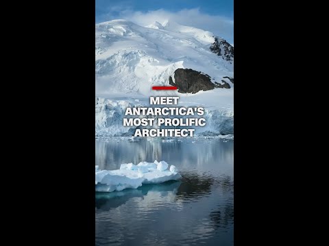 Meet Antarctica’s most prolific architect