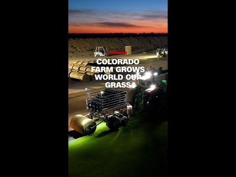This Colorado farm grew the World Cup’s perfect pitch