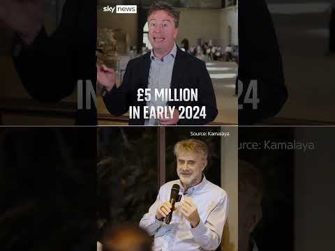 What are the investigations plaguing Farage?
