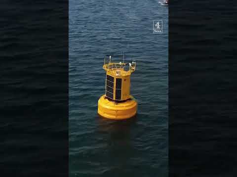Severe marine heatwave