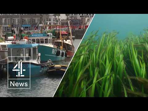 Met Office warning over marine heatwave – what is it?