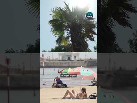 What is a marine heatwave and how does it affect us?