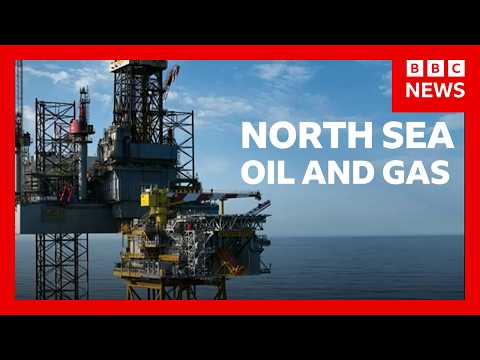 Jackdaw boss warns of winter fuel shortage risk if North Sea gas field not approved | BBC News