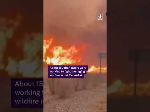 At least 12 dead in wildfire in southern Spain