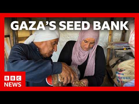 Farming to survive after two years of war | BBC News