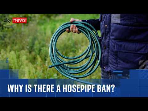 Hosepipe ban extended to five million more customers as third heatwave hits UK
