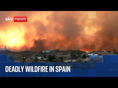 Wildfire sweeps across southern Spain, killing at least 11 people
