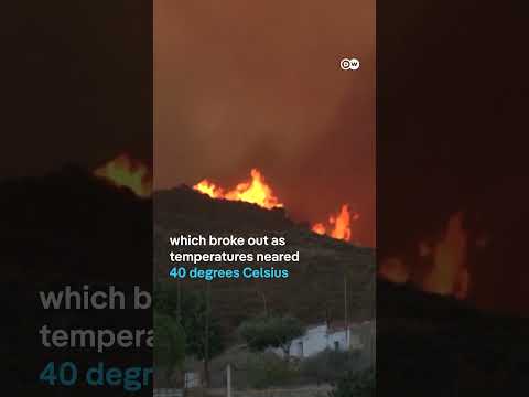 Spain’s deadliest wildfire in over two decades | DW News