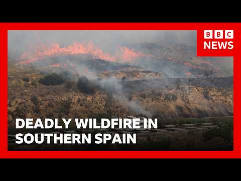 Hundreds of residents evacuated after deadly wildfires in Spain  | BBC News