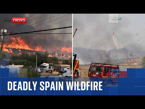 At least 12 dead in Spain wildfire as fire rages near Los Gallardos