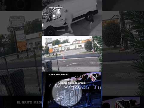 Videos show moments before fatal ICE shooting in Houston