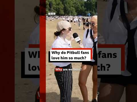 Why do Pitbull fans love him so much? #Pitbull #MrWorldwide #London #GuinnessWorldRecords #BBCNews