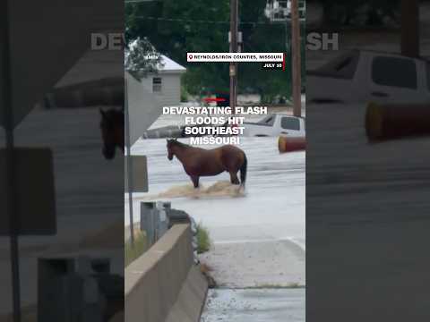 Devastating flash floods hit southeast Missouri