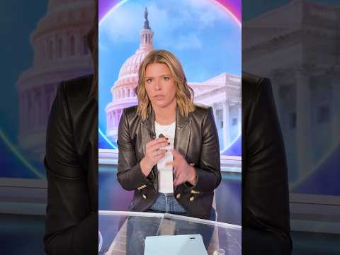The question dividing Democrats in critical Michigan Senate primary