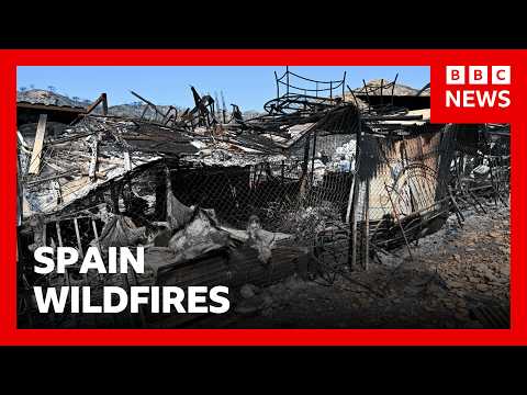 Spain battles to contain Ione of its deadliest wildfires as at least 12 killed | BBC News