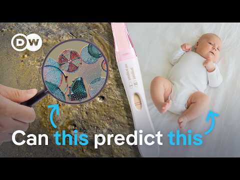 Can this algae make animal testing obsolete? | DW News