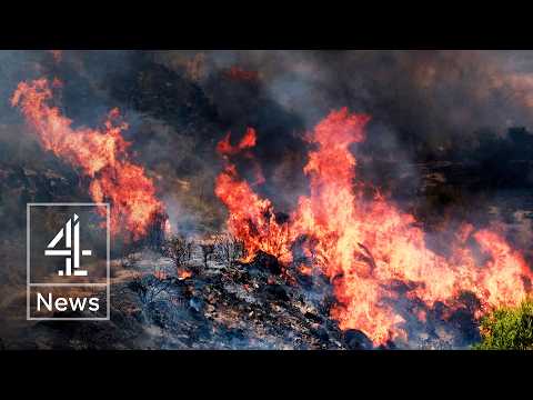 Europe’s extreme heatwave sparks wildfires from Spain to UK