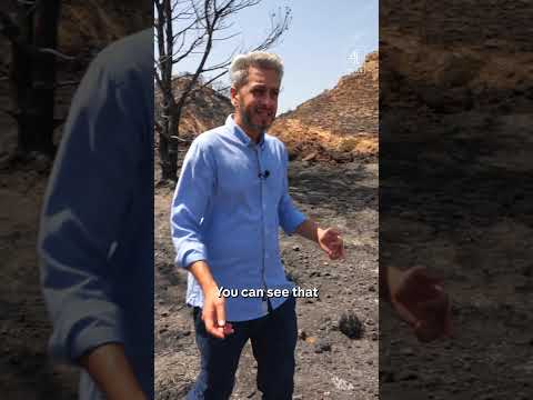 Reporter on scene of Spanish wildfire