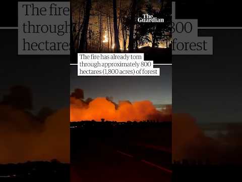 Huge wildfire breaks out in forest near Paris