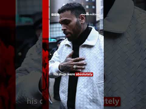 Chris Brown ordered to pay housekeeper $13m after dog attack. #BBCNews