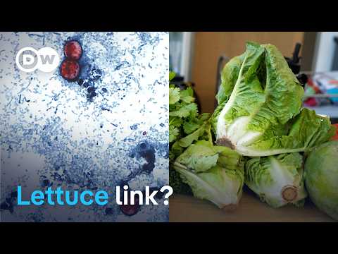 Fresh produce identified as possible source of US parasite outbreak | DW News