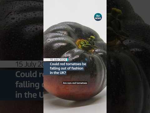 Could red tomatoes be falling out of fashion in the UK?