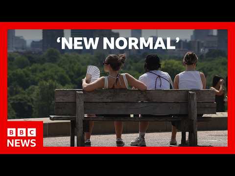 UK climate extremes becoming ‘new normal’, says Met Office | BBC News