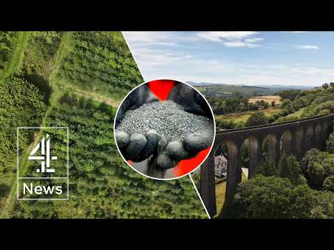 The ‘magic dust’ saving trees and reducing carbon emissions