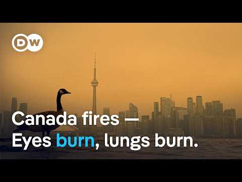 Orange skies and toxic air: Ontario wildfires spread smoke across North America | DW News