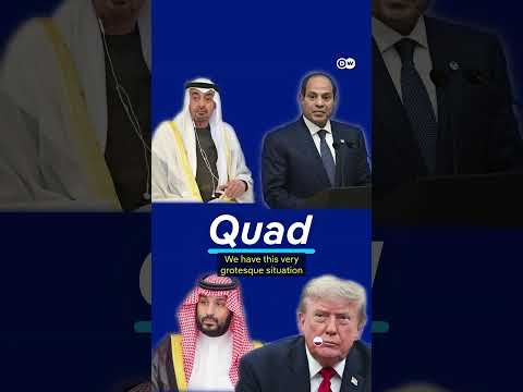 Why is no one stopping the killings in Sudan? | DW News