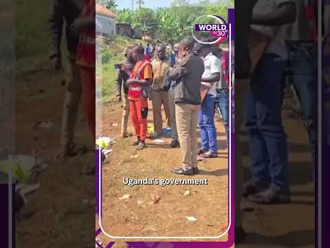 20 children killed in Uganda school bus crash