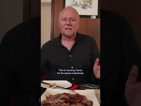 EU targets Peking Duck in dumping probe | DW News