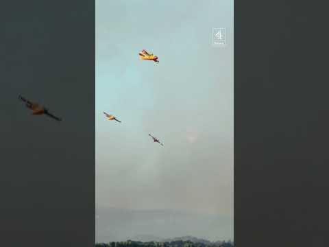 Wildfires burn 1,000 hectares in France