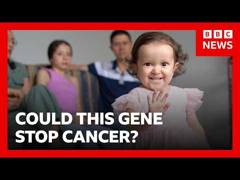 The community that might hold the key to treating cancer | BBC News