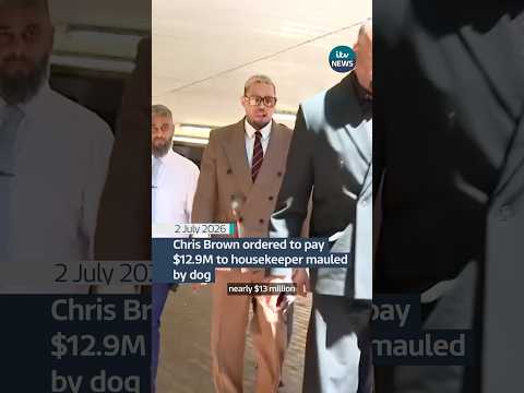 Chris Brown ordered to pay $12.9 million to housekeeper mauled by dog