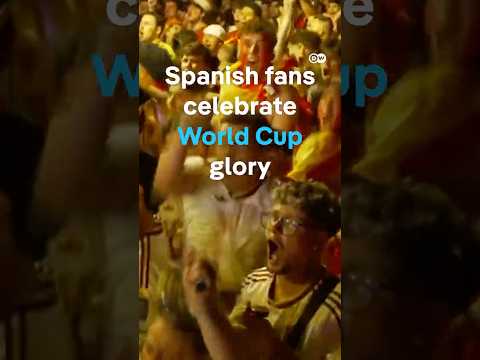 Spanish fans celebrate World Cup win in Madrid | DW News