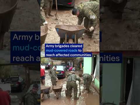 Chilean army and police rescue families cut off by floods | DW News