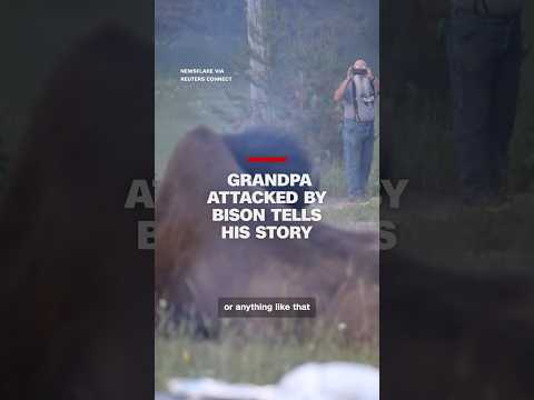Grandpa attacked by bison tells his story