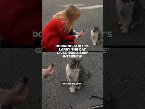 Downing Street’s Larry the Cat gives ‘exclusive’ interview
