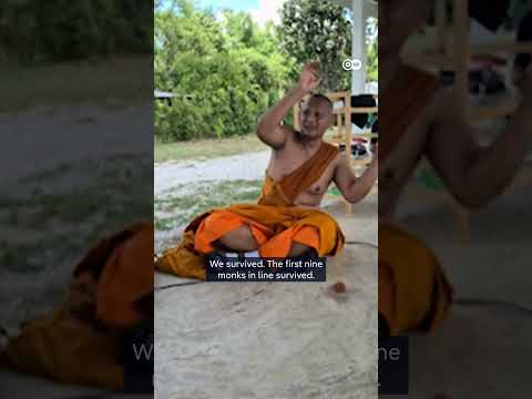 11-year-old crashes into group of Thai monks | DW News