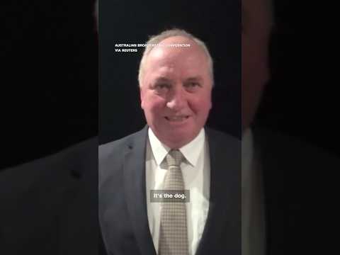 ‘Sit down!’ Australian politician sparks backlash after shouting at dog
