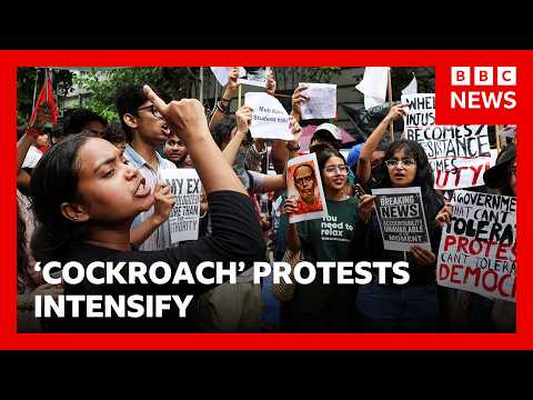 India’s Modi government under growing pressure as ‘cockroach’ protests intensify | BBC News