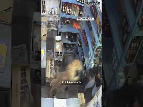 Leopard attacks worker in liquor store
