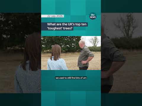 What are the UK’s top ten ‘toughest’ trees?