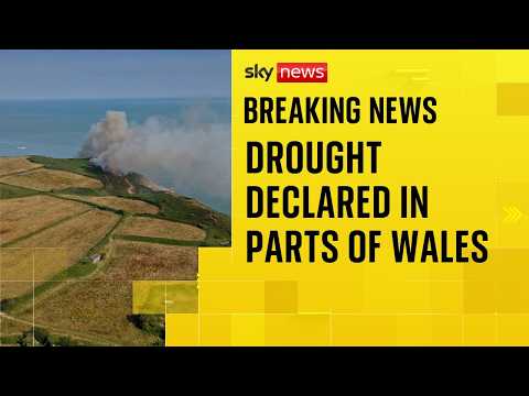 Drought declared in North Wales with more hot weather on the way