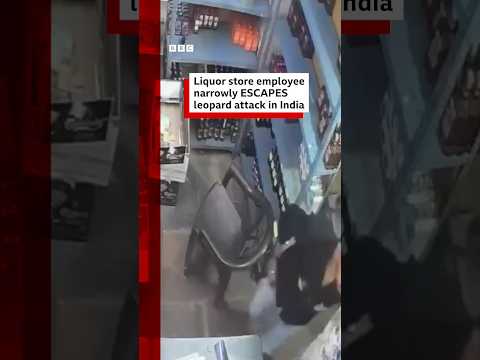 Liquor store employee narrowly escapes leopard attack in India. #Rajasthan #BBCNews