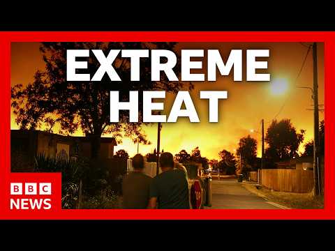 Heatwave causes deadly wildfires in Europe. What to know | BBC News