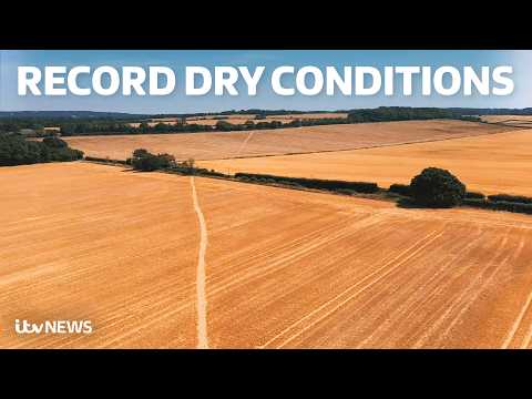 Britain’s first drought of the year declared in parts of Wales